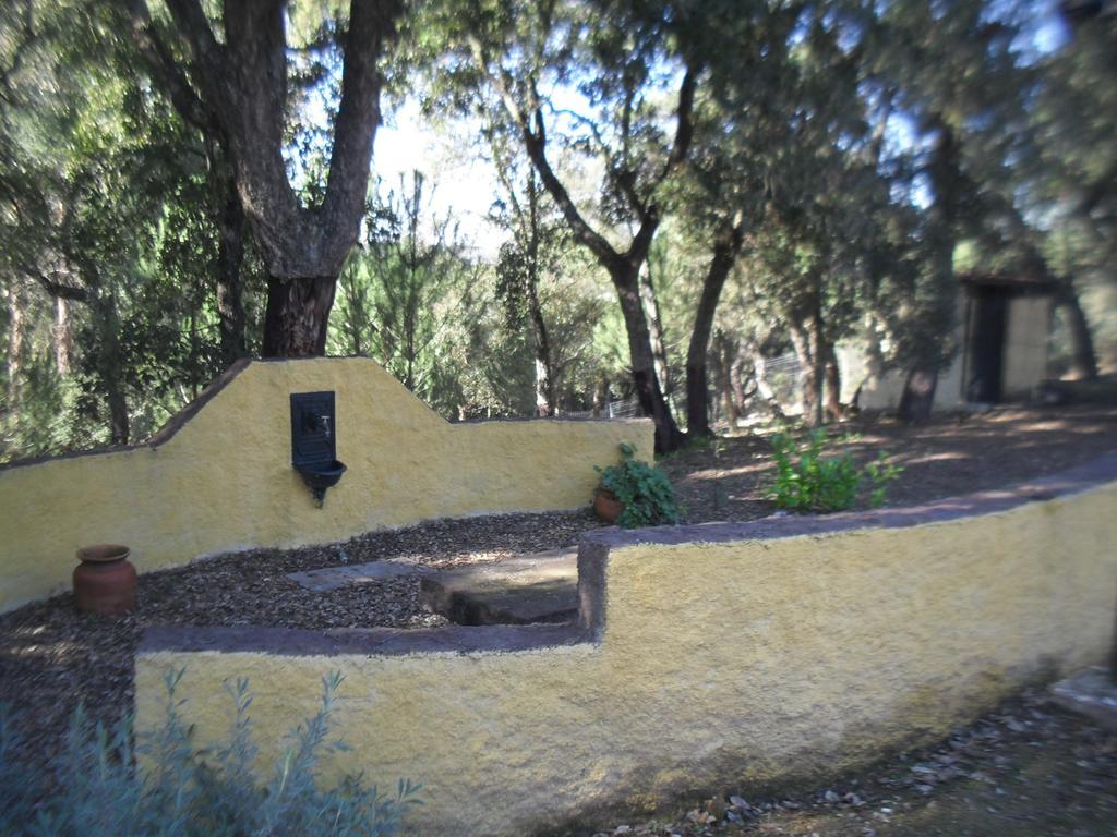 Quinta Do Outeiro Alto Villa Constancia Exterior photo
