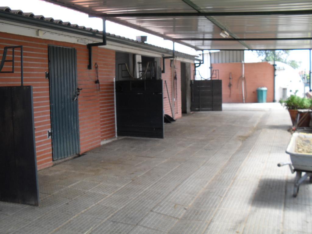 Quinta Do Outeiro Alto Villa Constancia Exterior photo
